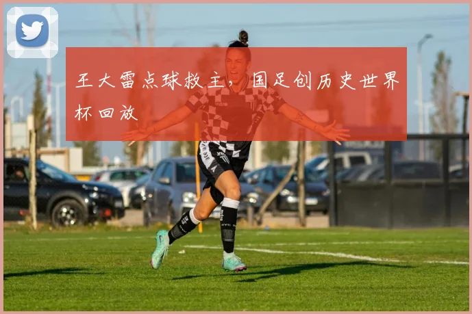 王大雷点球救主，国足创历史世界杯回放 - MK体育