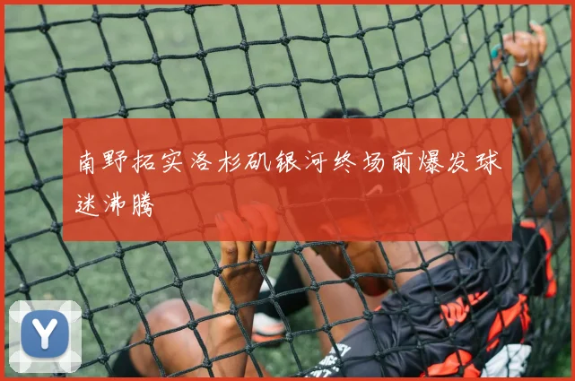 南野拓实洛杉矶银河终场前爆发球迷沸腾 - MK体育