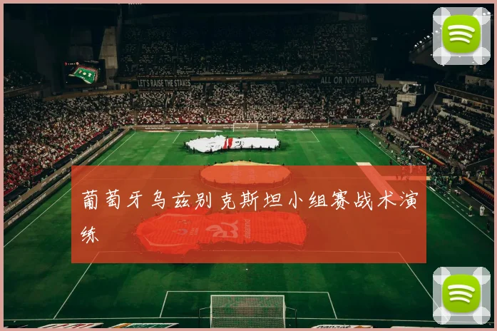 葡萄牙乌兹别克斯坦小组赛战术演练 - MK体育