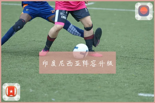 印度尼西亚阵容升级 - MK体育