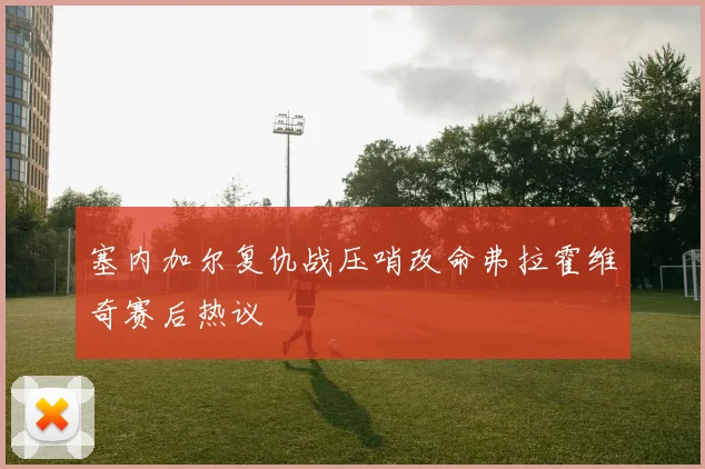 塞内加尔复仇战压哨改命弗拉霍维奇赛后热议 - MK体育